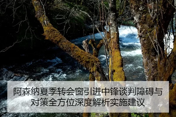 阿森纳夏季转会窗引进中锋谈判障碍与对策全方位深度解析实施建议